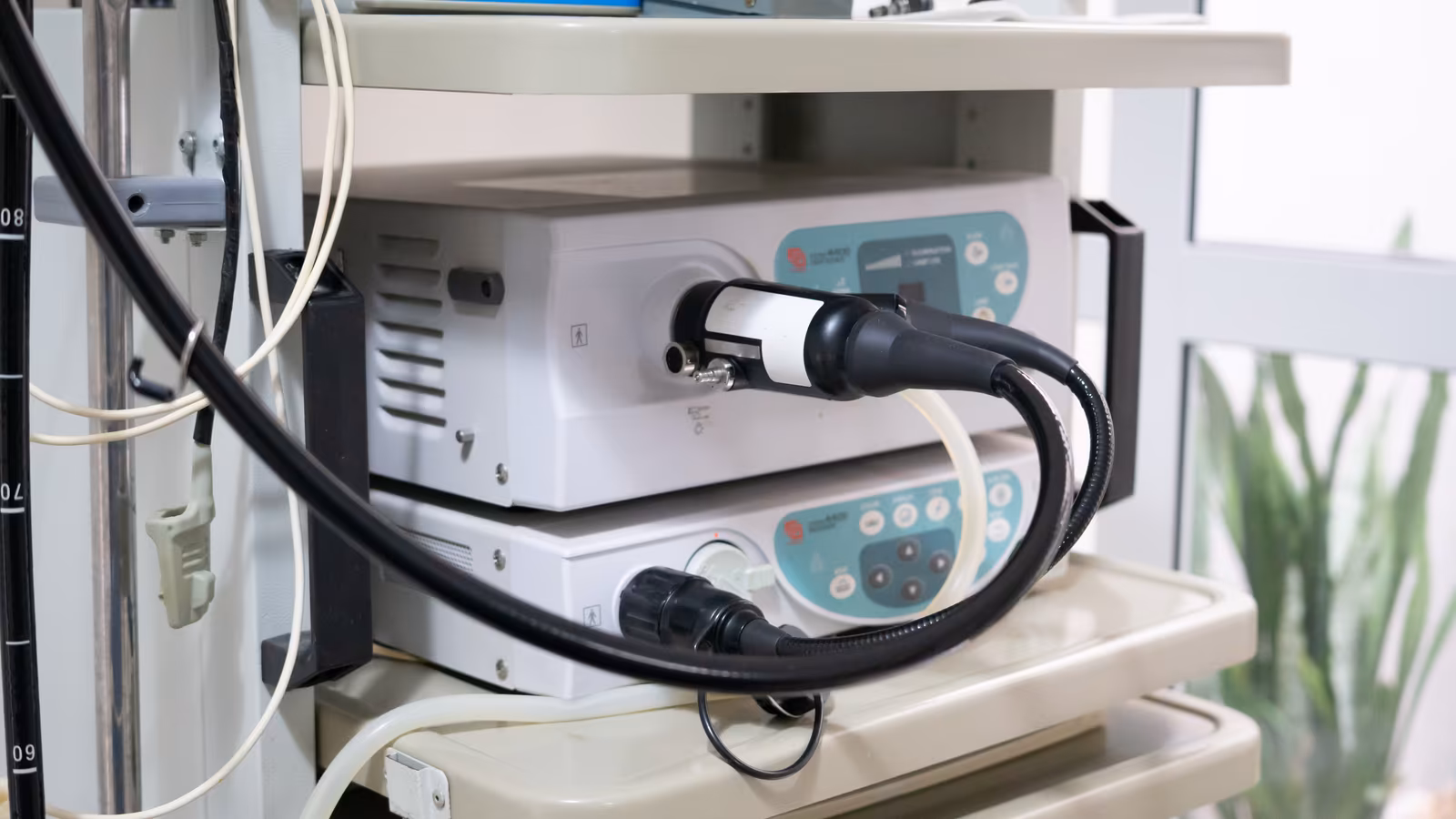 Sala de atendimento e área interna da Cliningá — foto 14